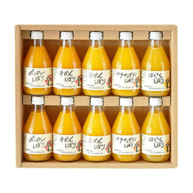 Ito Noen Wakayama Orange Juice Set of 10