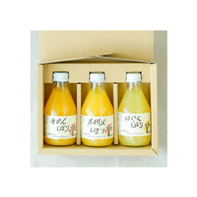 Ito Noen Wakayama Orange Juice Set of 3