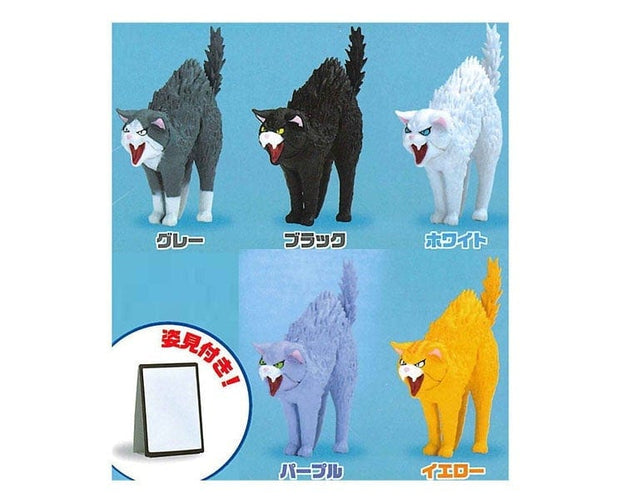 Mirror VS Cat Gachapon Anime & Brands Sugoi Mart