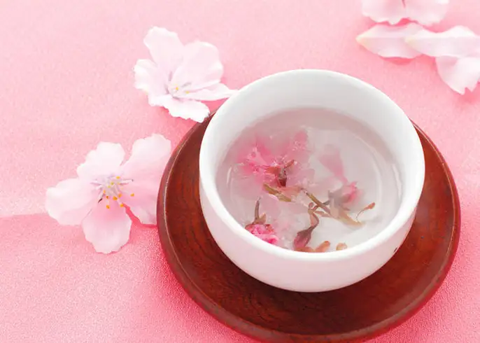Everything You Need To Know About Sakura Tea