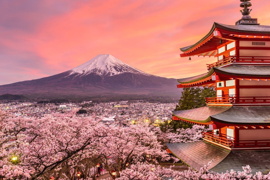 Cherry Blossom Bliss: A Guide to Japan's Sakura Tree and Season