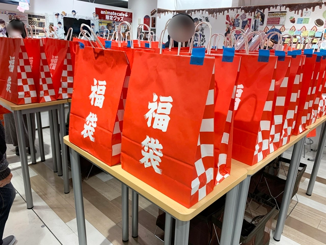 Yodobashi Camera Lucky Bag