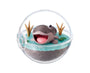 Pokemon Terrarium Collection EX Paldea Blind Box thumbnail 7