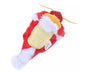 Disney Year of Dragon Winnie-the-Pooh Tsum Tsum thumbnail 5