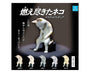 Tired Cats Gachapon Anime &amp; Brands Sugoi Mart thumbnail 1