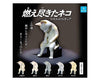 Tired Cats Gachapon Anime & Brands Sugoi Mart