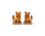 Okinawan Traditional Gacha Figures Anime &amp; Brands Sugoi Mart thumbnail 3